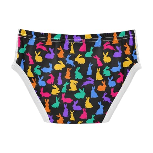 Boys' Exclusive Briefs Toddler Underwear 95% Combed Cotton Boxerbriefs 2T Multicolored Rabbit 422