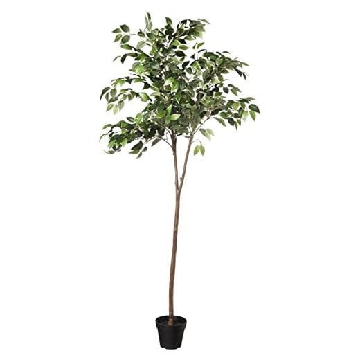 Amazon Basics Ficus artificiel avec pot en plastique, 160 cm, Vert