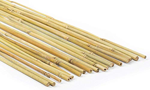 Canne di Bambu' h.180cm Ø 18/20 mm 10 Pezzi - Resistenti Naturali - Per Sostegno Ortaggi e Piante o Arredamento di design - Ideali per Pomodori e Rampicanti - Canna di Bamboo per Orto