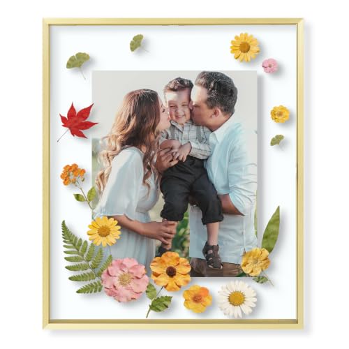 Golden State Art 16x20 Gold Aluminum Floating Picture Frame Real Glass