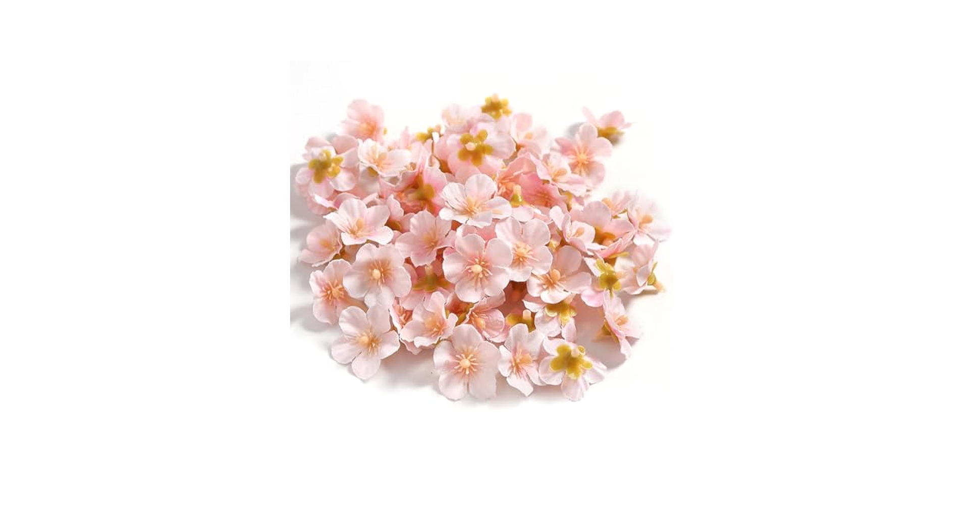 桜の花 桜図鑑掲載一覧 | 桜図鑑｜公益財団法人日本花の会