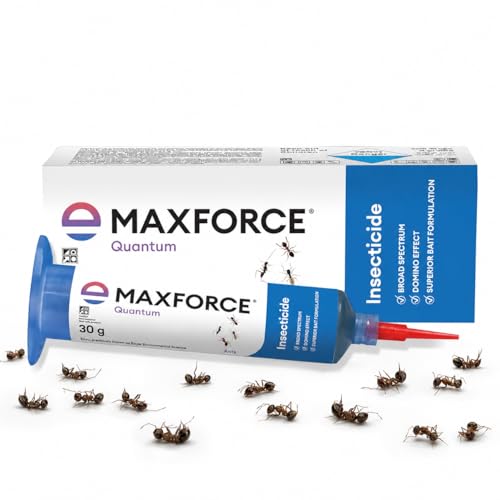 Image of Maxforce Quantum Ant Killer Gel | Ant Control - Bait for Home & Kitchen | Ant Killer Gel | Long Lasting Ant Control | 30g