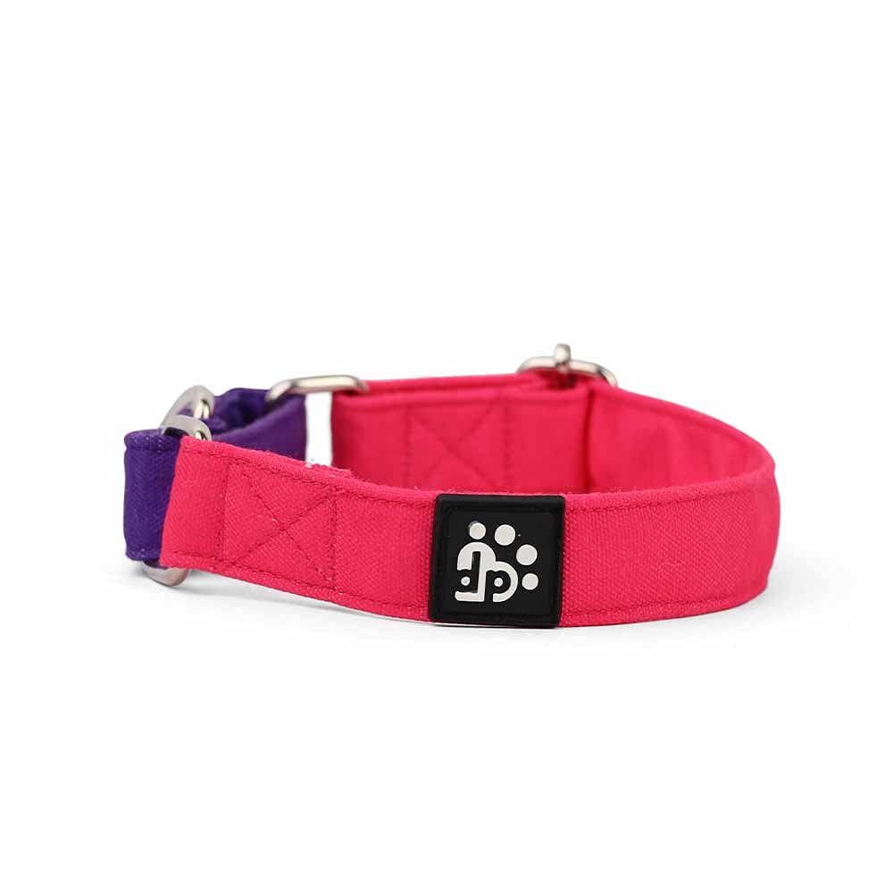Dear Pet Double Trouble Martingale Pink & Purple Collar for Small, Medium and Large Dogs (Suitable for All Breeds) (Large) (B09CZ2ZLRK) Amazon Price History, Amazon Price Tracker