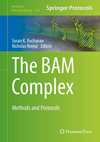The BAM Complex view 2