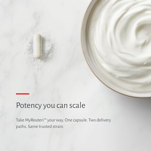 Image of MyReuteri 10 Billion CFU Probiotic - Foundational-Strength L. reuteri LRDR + FOS Prebiotic - by Dr. William Davis - Makes Yogurt-Like Superfood - 30 Veg Capsules