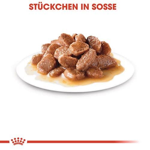Royal Canin Instinctive Gravy | Doppelpack | 2 x 12 x 85 g | Nassfutter für ausgewachsene Katzen | Kleine Stückchen in Soße | Zur Unterstützung eines gesundes Lebensstils