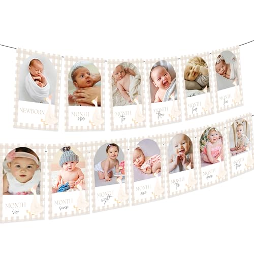 Beige One Silly Goose �t�H�g�o�i�[ Silly Goose 1�΂̒a�������� �V��������12���� �ʐ^�p�o�i�[ �K�`���E���e�[�}�̍ŏ��̒a�����p�[�e�B�[�p�i