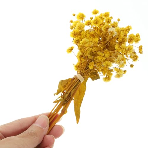 Ramillete de flores secas Gypsophila amarillo miniatura 4