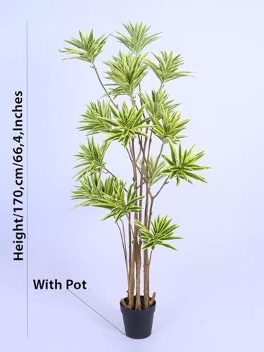 Image of ARICK DECOR 5.6ft Artificial Dracaena Reflexa Tree - Large Faux Lush Peacock Shaped Floor Plant with Black Pot for Indoor Home Office Decor - 170cm Green