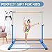 SHIWEI Gymnastics Training Bar- Height Adjustable 3' to 5' Horizontal Kip Bar for Kids