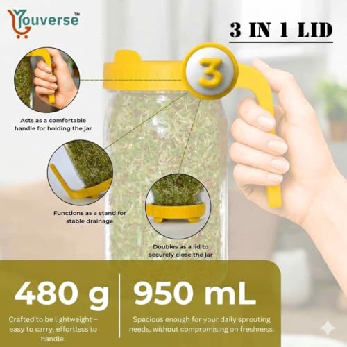 Image of Sprouts Maker Glass Jar - 950ml Large Sprouts Maker Jar for Home Use | BPA-Free Sprouting Jar with Drain Lid Handle | Airflow, Odor-Free, Easy Drainage, and Hygienic Glass Design (Yellow)