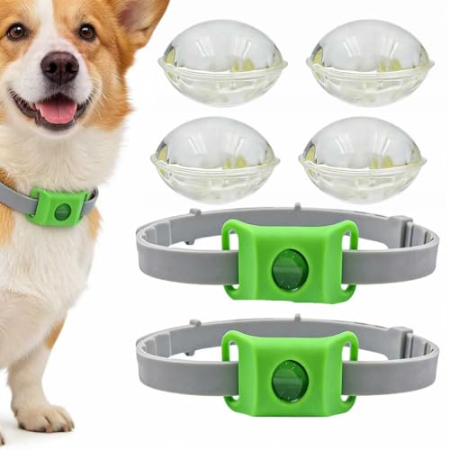 BauPaw Collare Antiparassitario, collare cani Taglia unica per tutti, collare cane collare antiparassitario, Collare Regolabile, Elimina pulci, zecche, pidocchi (2 Pezzi)