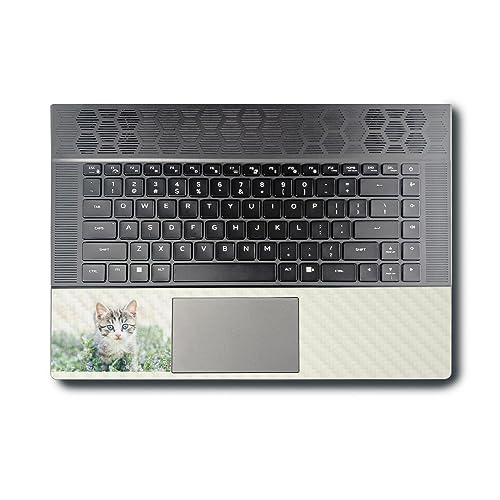 Image of MightySkins Carbon Fiber Skin Compatible with Alienware X16 R1 (2023) Full Wrap Kit - Blue Eyed Kitten | Protective, Durable Textured Carbon Fiber Finish | Easy to Apply | Made in The USA
