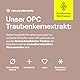 OPC Traubenkernextrakt – 90 hochdosierte Kapseln für 3 Monate – reines OPC aus französischen Weintrauben – vegan, in deutschen Laboren getestet