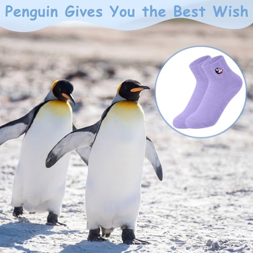 Image of Eurzom 10 Pairs Socks Womens Crew Elastic Ankle Length Cotton Socks Aesthetic Cute Lightweight Low Cut Gifts for Women