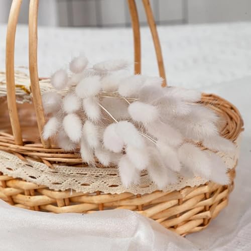 Pampas Grass Decor Alto 50Pcs Estilo 4 Natural miniatura 1