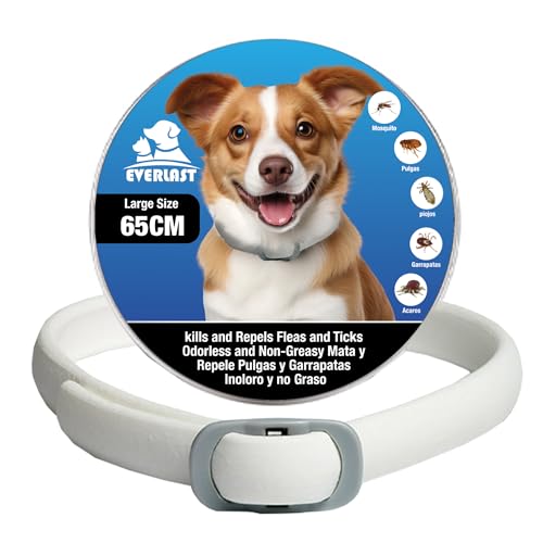 Tempotech Collare Antiparassitario per Cani - 8 Mesi di Protezione contro Pulci, Zecche, Zanzare e Acari - 65 cm Regolabile, Efficace e Sicuro 100% Naturali
