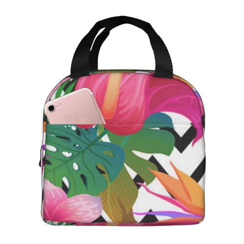 fM`obO e h MRh~ X^CbVŏv dAwZAAEghAɕ֗ jp (GL]`bNȗtƉԂ̊􉽊wIȃgsJp^[p_CX)