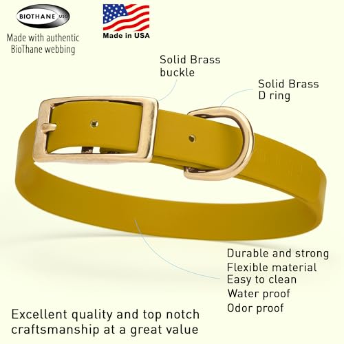 Image of Viper Biothane Heavy Duty Waterproof Dog Collar Strong Coated Nylon Webbing w /Solid Brass Hardware Odor-Proof for Easy Care to Clean High Performance Fits Small Medium or Large Dogs, Treasure Gold