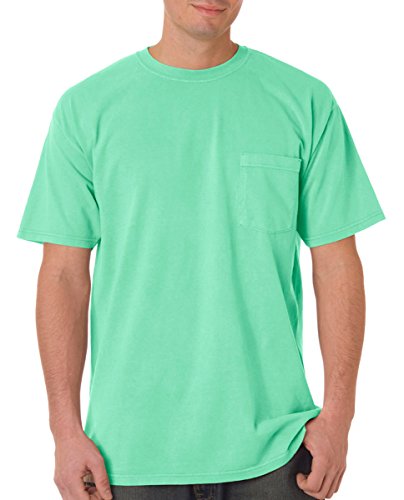Image of Comfort Colors Adult Short Sleeve Tee, Style G1717
