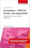 Grundlagen - SGB VIII: Kinder- und Jugendhilfe: Textausgabe mit praxisorientierter Einführung; Walhalla Rechtshilfen