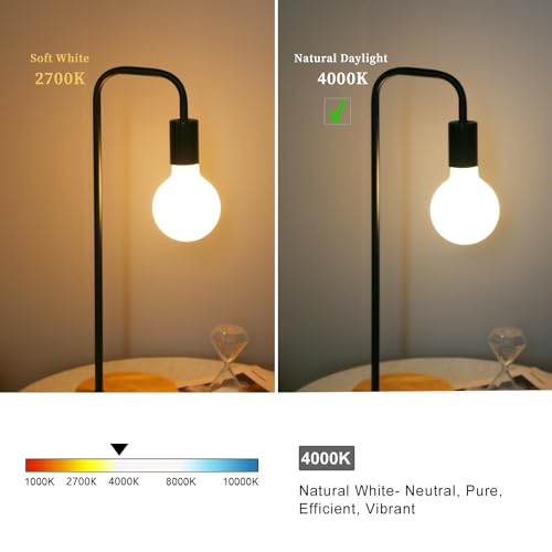 Image of G30 LED Globe Light Bulbs, E26 Base, Neutral White 4000K, 2 Pack