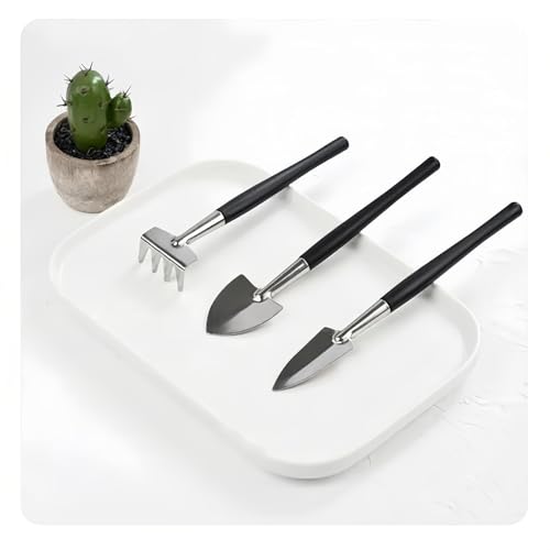 Set de herramientas de jardinería 3 piezas para plantas miniatura 5