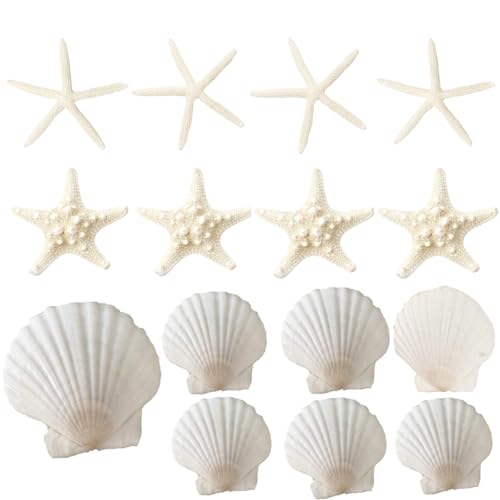 SEAJIAYI 15 PCS 3-4 Inches Large Starfish 2-6 Inch Mixed Natural Scallop Shells Perfect for Wedding Decor Beach Theme Party, Home Decorations, DIY Crafts, Fish Tank