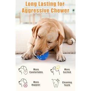 Dog balls for aggressive chewers indestructible dog tennis balls durable bouncy dog toy balls dog balls for teething interactive dog toys for fetch game 4 pcs medium size  urban country home decor