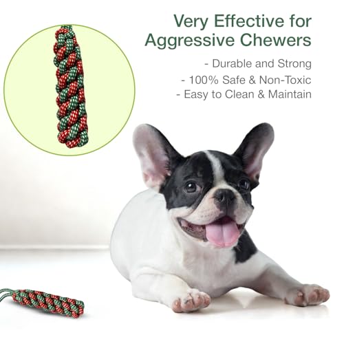 Image of Cotton Dummy Rope Toy for Dogs and Pets |Tug of War Dog Toy Teeth Cleaning Gum Massage Toy |Dog Rope Toys for Small Large Dogs |Rope for Dogs and Puppies (Green)
