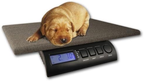 ZIEIS | 15 Lb. Capacity | Digital Pet Scale | Z15P-COZY | 12" X 16" BigTop Cozy Pawz Platform | 0.1 Ounce Accuracy