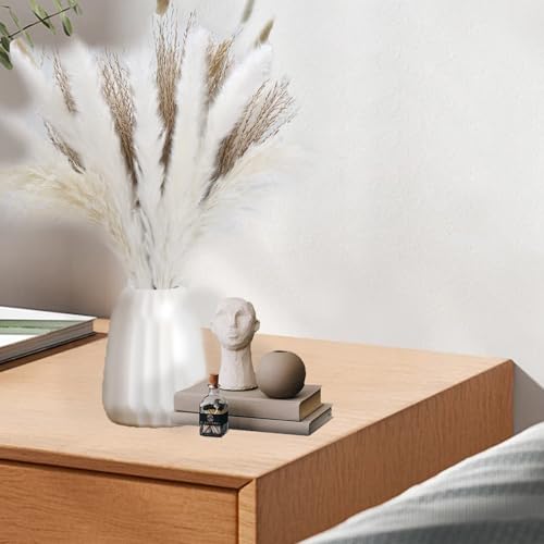 White Natural Pampas Grass Dried Flores Decorativas miniatura 5