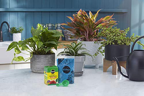 Image of Miracle-Gro Water Soluble All Purpose Plant Food, 8 oz. (2-Pack) | Fertilizer For All Indoor or Outdoor Plants including Roses, Flowers, Vegetables, Houseplants, Trees, and Shrubs