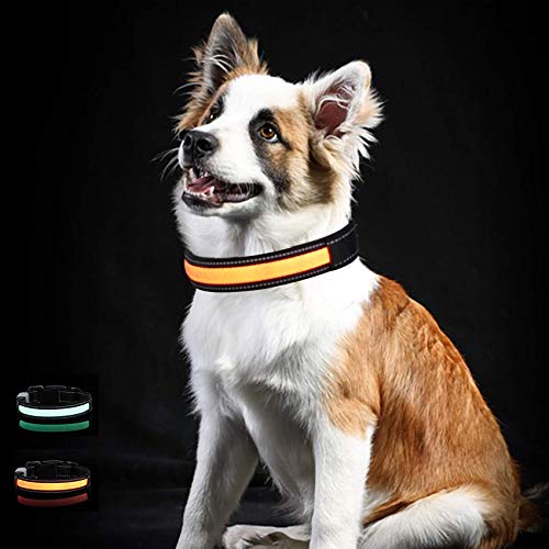 Toozey LED Luminoso Collar para Perros, Longitud Ajustable/Recargable por USB/Impermeable Nylon Luminoso Collar para Perros con 3 Modos de Iluminación, Alta Visibilidad y Seguridad, Naranja M