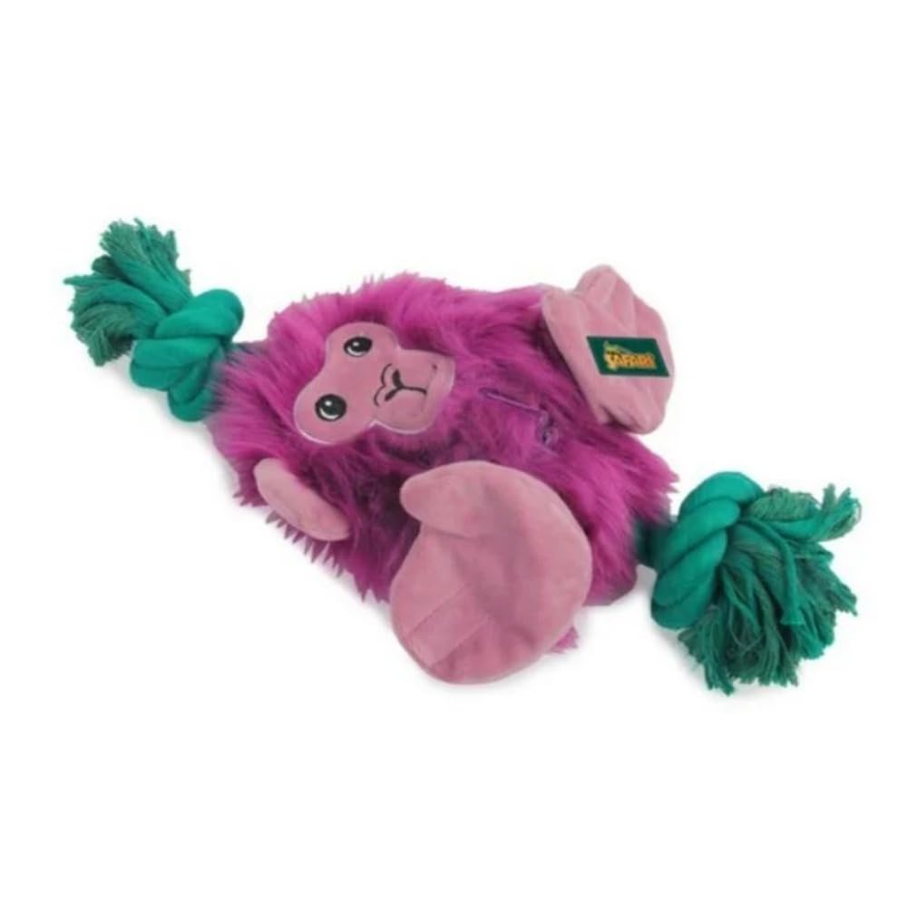 All For Paws Safari - Big Foot Monkey