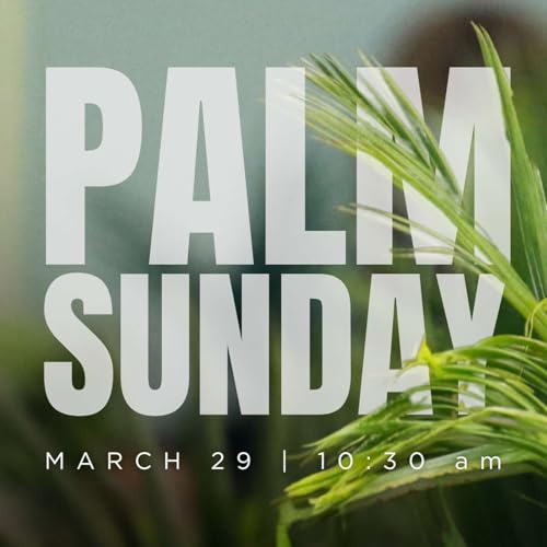 The King Who Wrecks Our Expectations | Jesus Unplugged | Pastor Joel Schulz