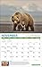Greenpeace Wall Calendar 2019 Monthly January-December 15'' x 12