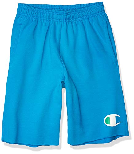 Champion Men's Powerblend Graphic Short, Deep Blue Water, Medium