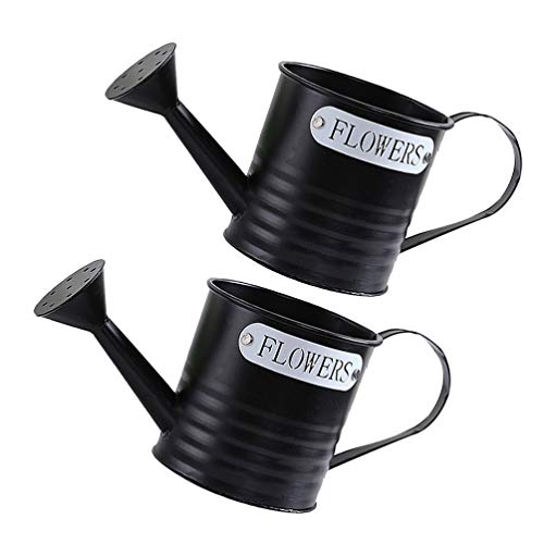 Hemoton 2 Unidades de Regador Pote de Metal para AspersÃ£o de Planta Frasco Spray para Bonsai Materi