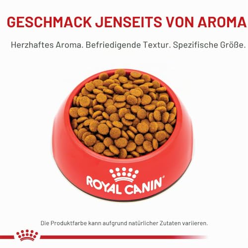 Royal Canin 55151 Hair und Skin 2 kg - Katzenfutter