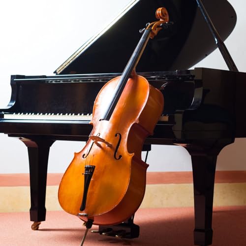 NULYLU Accessoire pour Cordier de Violoncelle en Alliage D'aluminium Noir, Facile à Installer avec Corde de Queue, Haute Performance pour Violoncelle – vue 4