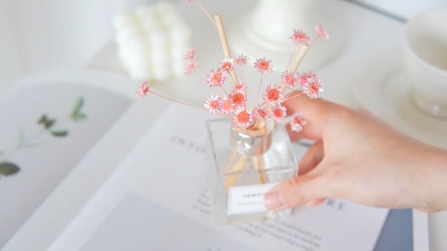 Amazon.com: Natural - Dried - Flowers Brazilian Small Star Daisy