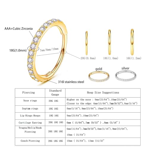 3Pcs Nose Rings Hoop 20G 18G 16G Surgical Steel Hinged Segment Rings Septum Jewelry Lip Ring Helix Conch cartilage earring for Women Girls Men 7mm 8mm 10mm2
