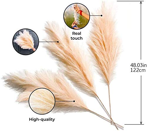 Erba Pampa Artificiale - 5 Steli 120 Cm, Beige, Decorazione Casa E Matrimoni - Foto 2