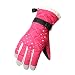eWing Womens Winter Snow, Ski, Snowboard, Cold Weather Gloves with Thinsulate