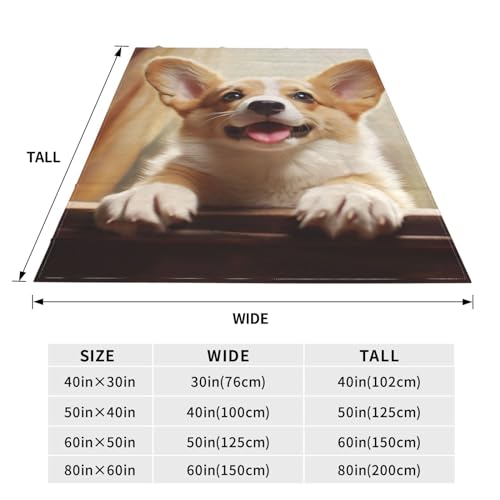 Couverture micro polaire corgi pour soirées cocooning canapé