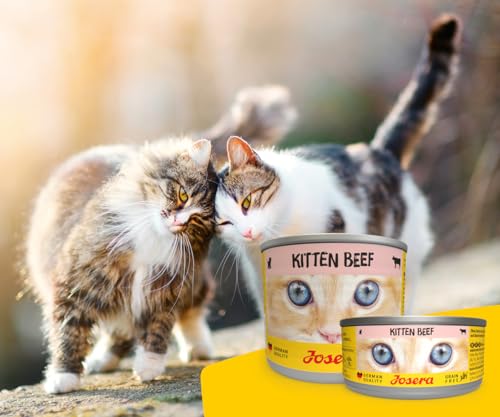 JOSERA Nassfutter Kitten Beef (6 x 200 g) | Kitten | Premium Katzenfutter nass für wachsende Katzen | Rind | mit Lachsöl | getreidefrei | Anti-Haarballen | Alleinfutter | 6er Pack