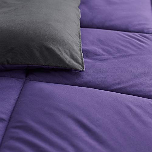 DormCo Purple Reign/Faded Black Twin Comforter - Oversized Twin XL Bedding