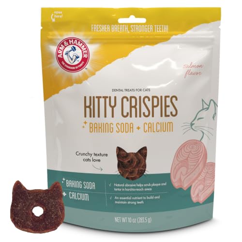 Arm & Hammer Kitty Crispies Dental Cat Treats, Salmon Flavor, 10 Oz - image 1