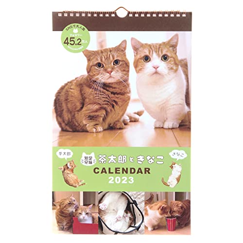 2023年　茶太郎ときなこ　壁掛け　カレンダー Amazon.co.jp: 学研ステイフル 茶太郎ときなこ 2023年 カレンダー
